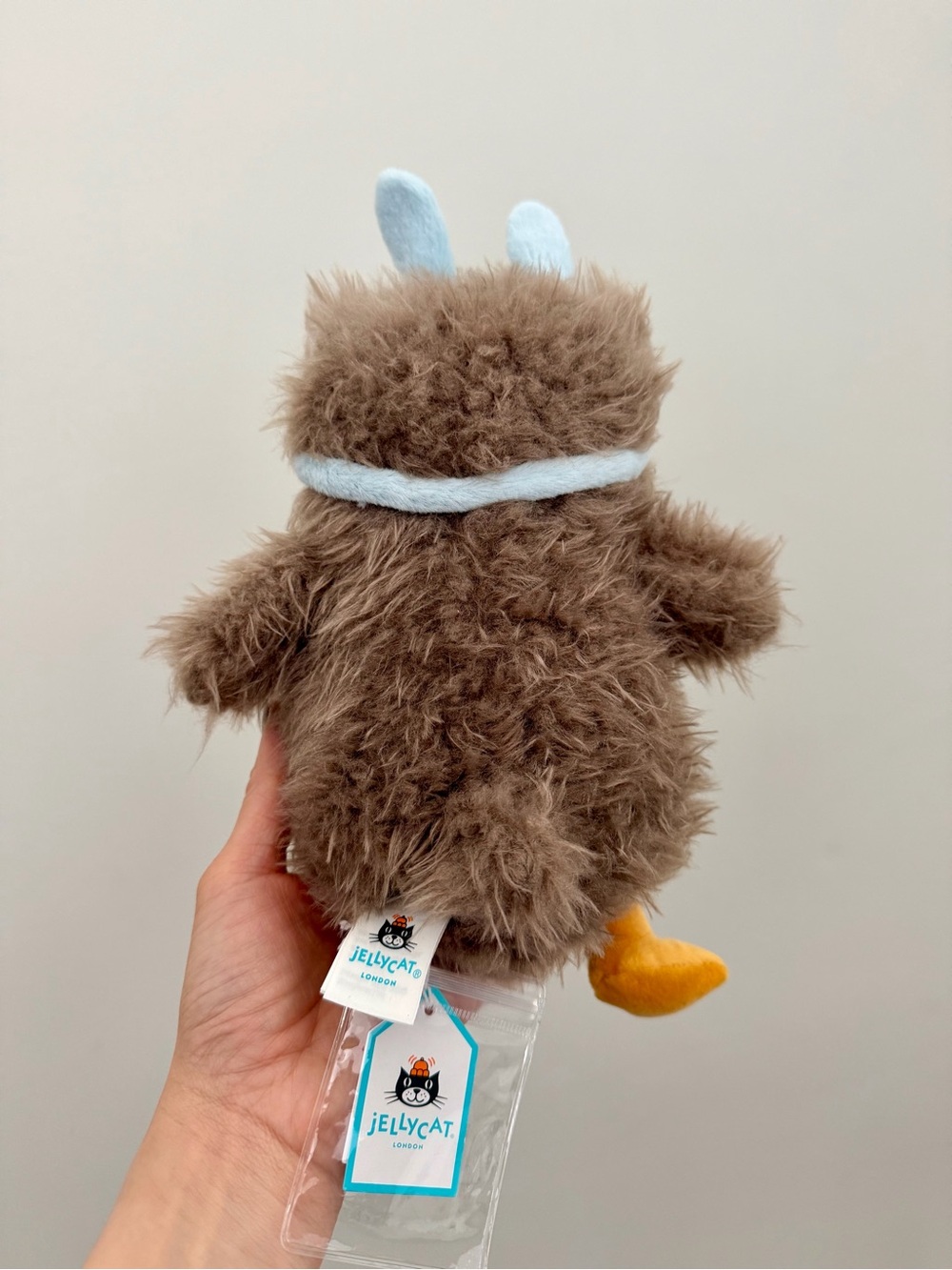 🦉𝐀𝐮𝐭𝐡𝐞𝐧𝐭𝐢𝐜 𝐉𝐞𝐥𝐥𝐲𝐜𝐚𝐭 𝐀𝐮𝐝𝐫𝐞𝐲 𝐇𝐨𝐨𝐭𝐬𝐨𝐟𝐭𝐥𝐲🦉 - Picture 3 of 5